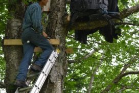 Sculptures au Mont SUTTON: Chouette Lapone de Marek Laztmann