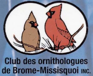 Club des ornithologues de Brome-Missisquoi