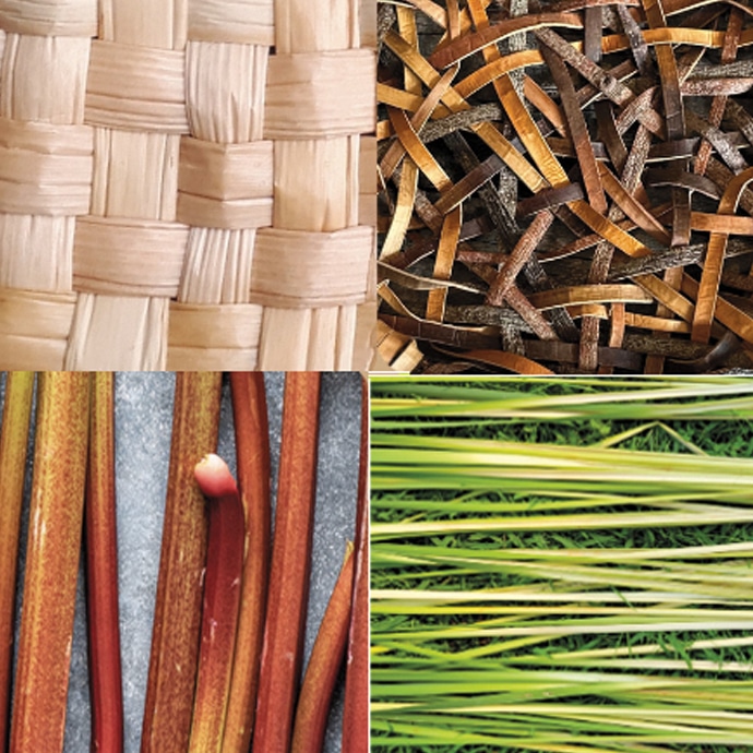 culture Dunham Mozaïk Nature par Arienne Prince-Ferron