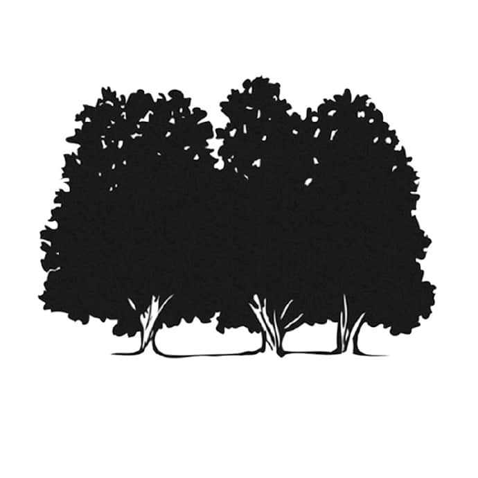 Auberge des trois érables