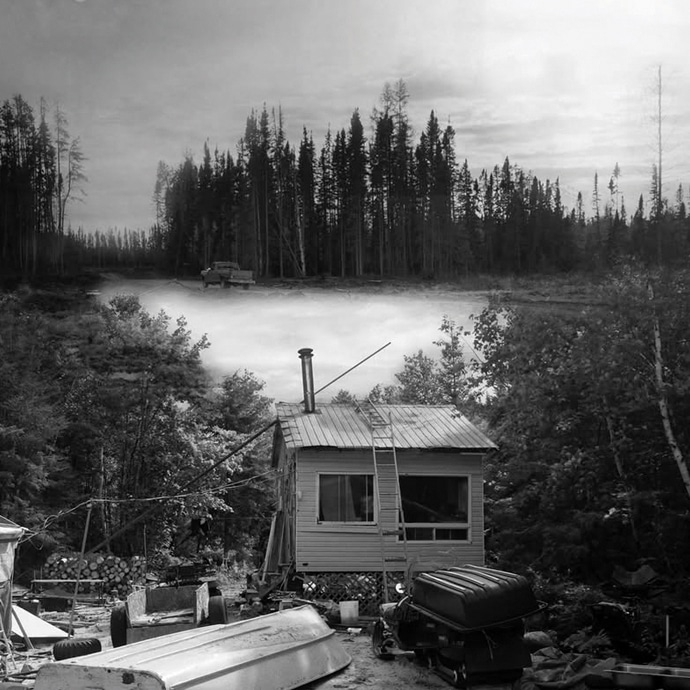 Chats sauvages de Steve Patry