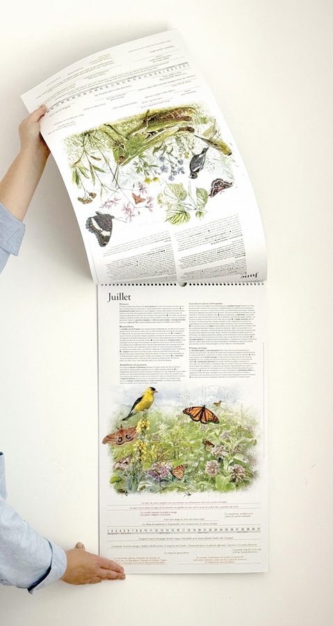 Calendrier du vivant