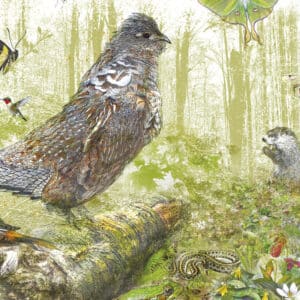 Calendrier du vivant