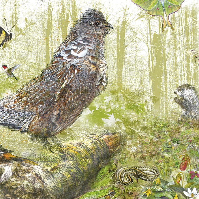 Calendrier du vivant