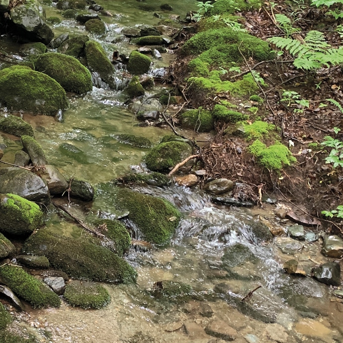 Fiducie du Mont Pinacle Droits de la nature