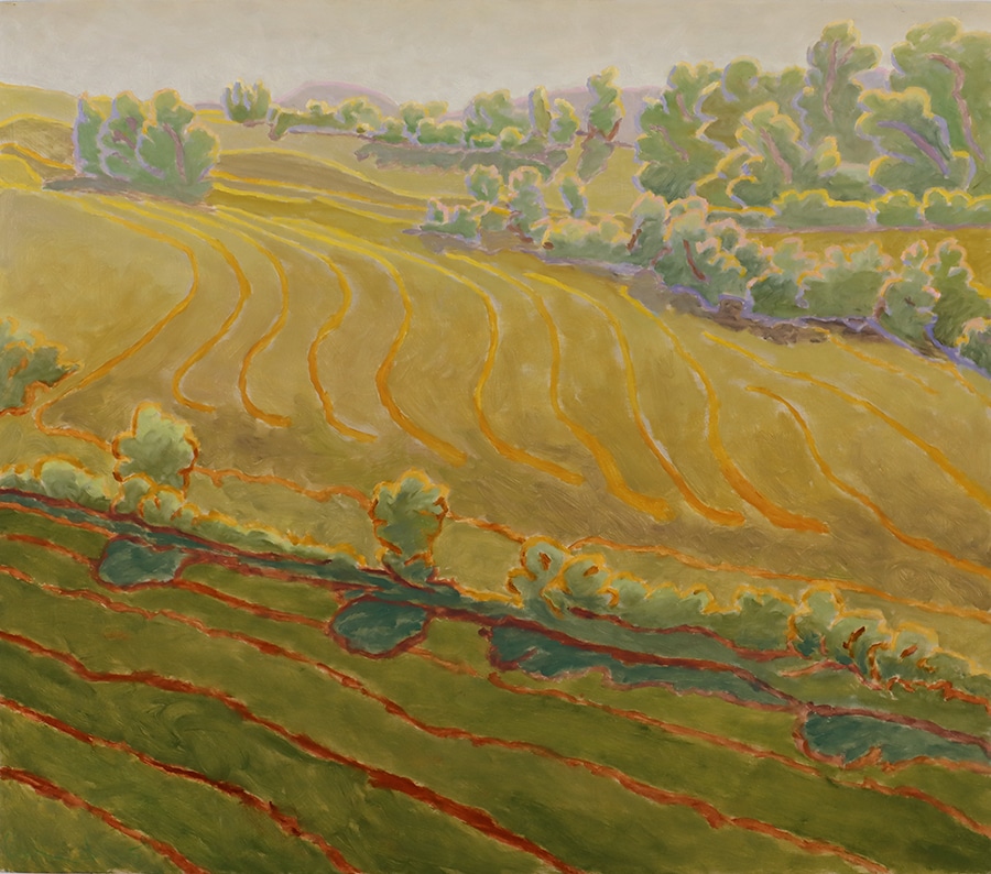 Peter Raymond