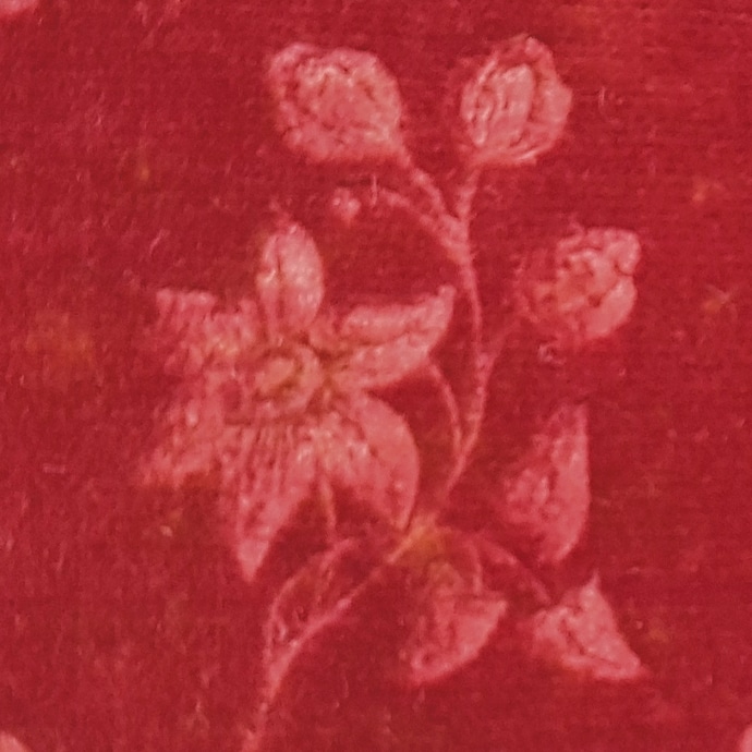 daguerrotype