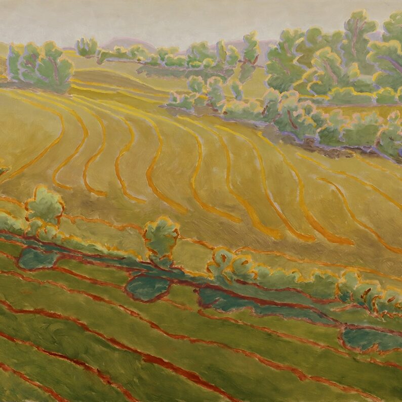 Peter Raymond, Champ, chemin Soles, 2025, huile sur panneau de bois, 35 x 41 cm