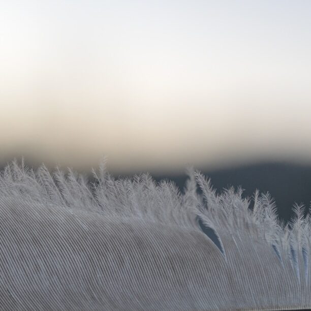 Le TOUR 43.2 - Hiver/Winter 2025-2026